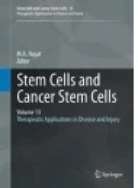 Stem Cells and Cancer Stem Cells, Volume 13