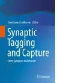 Synaptic Tagging and Capture