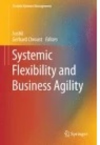 Systemic Flexibility and Business Agility