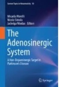 The Adenosinergic System