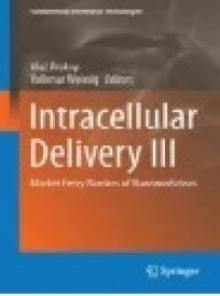 Intracellular Delivery III: Market Entry Barriers of Nanomedicines