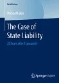 The Case of State Liability