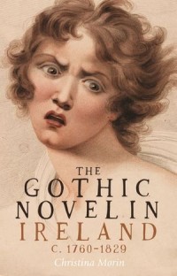 The gothic novel in Ireland : c. 1760–1829