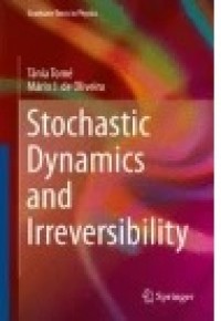 Stochastic Dynamics and Irreversibility