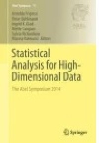 Statistical Analysis for High-Dimensional Data