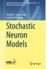 Stochastic Neuron Models