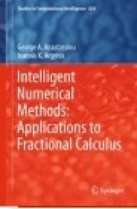 Intelligent Numerical Methods: Applications to Fractional Calculus