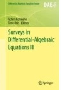 Surveys in Differential-Algebraic Equations III