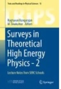 Surveys in Theoretical High Energy Physics - 2