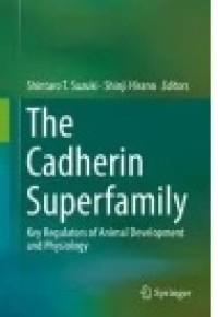 The Cadherin Superfamily