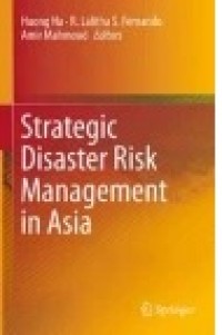 Strategic Disaster Risk Management in Asia