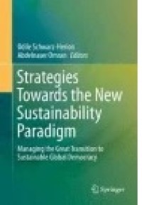 Strategies Towards the New Sustainability Paradigm