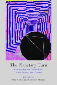 The Planetary Turn : Relationality And Geoaesthetics In The Twenty-first Century