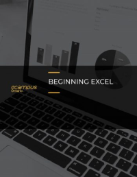 Beginning Excel