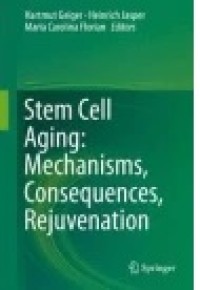 Stem Cell Aging: Mechanisms, Consequences, Rejuvenation