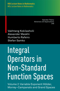 Integral Operators in Non-Standard Function Spaces