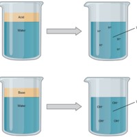 Acids and Bases