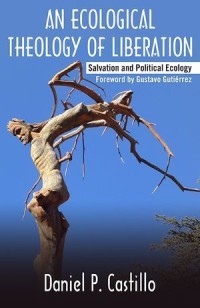 An Ecological Theology of Liberation : Salvation and Political Ecology