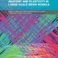 Anatomy and Plasticity in Large-Scale Brain Models