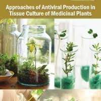 Approaches of Antiviral Production in Tissue Culture of Medicinal Plants