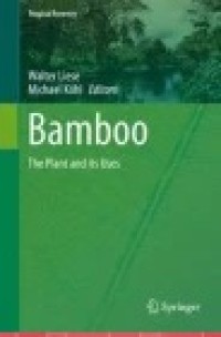 Bamboo : The Plant and its Uses