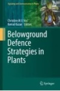 Belowground Defence Strategies in Plants