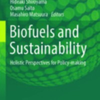 Biofuels and Sustainability : Holistic Perspectives for Policy-making