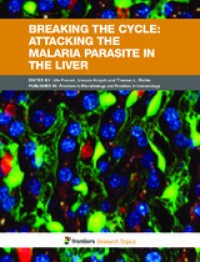 Breaking the cycle : Attacking the malaria parasite in the liver