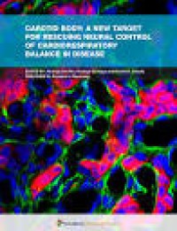 Carotid Body : A New Target for Rescuing Neural Control of Cardiorespiratory Balance in Disease