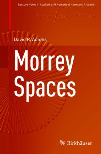 Morrey Spaces