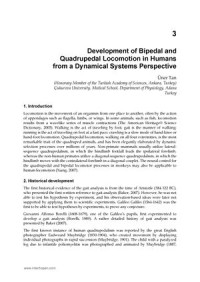 Development of Bipedal and Quadrupedal Locomotion in Humans from a Dynamical Systems Perspective