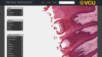 Digital Histology