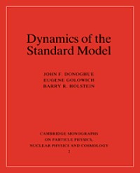 Dynamics of the Standard Model