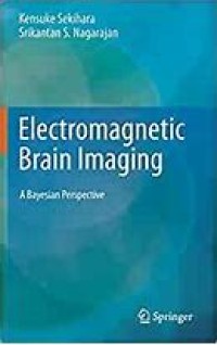 Electromagnetic Brain Imaging
A Bayesian Perspective