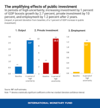 Economic Effects of Public Investment