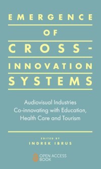 Emergence of Cross-innovation Systems
Audiovisual Industries Co-innovating with Education, Health Care and Tourism