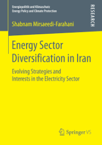 Energy Sector Diversification in Iran
Evolving Strategies and Interests in the Electricity Sector