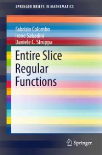 Entire Slice Regular Functions