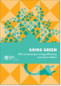 Going green : Who is investing in energy efficiency, and why it matters