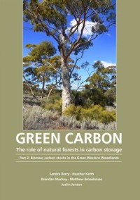 Green Carbon Part 2
The role of natural forests in carbon storage