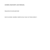 Human Anatomy Lab Manual