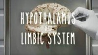 Hypothalamus and Limbic System - UBC Neuroanatomy - Season 1 - Ep 4