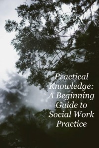 Practical Knowledge : A Beginning Guide to Social Work Practice