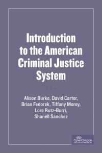 Introduction to the American Criminal Justice System