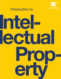 Introduction to Intellectual Property