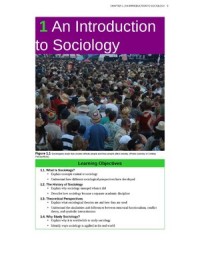 Introduction to Sociology