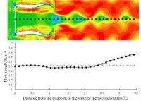 Modelling Hydrodynamic Drag in Swimming using Computational Fluid Dynamics