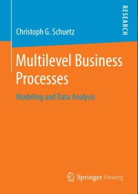 Multilevel Business Processes