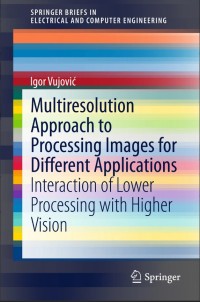 Multiresolution Approach to Processing Images for Different Applications