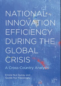 National Innovation Efficiency During the Global Crisis